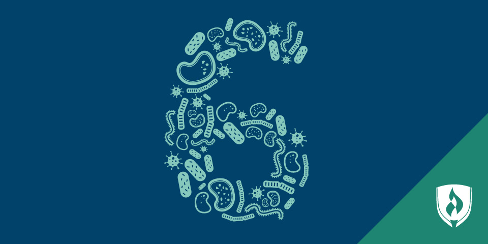 以图案排列的微观生物