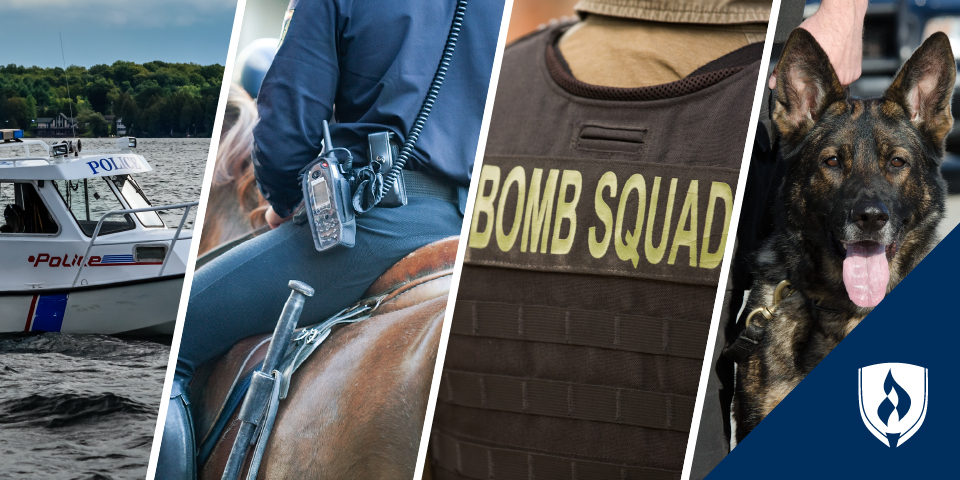 分布式图片 不同的警队